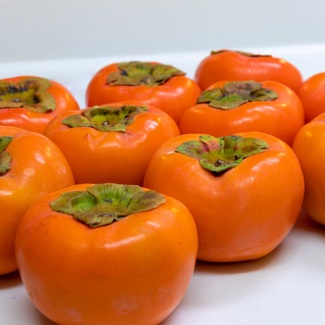 Persimmon " Fuyu " Exotic 5 Fruit Seeds