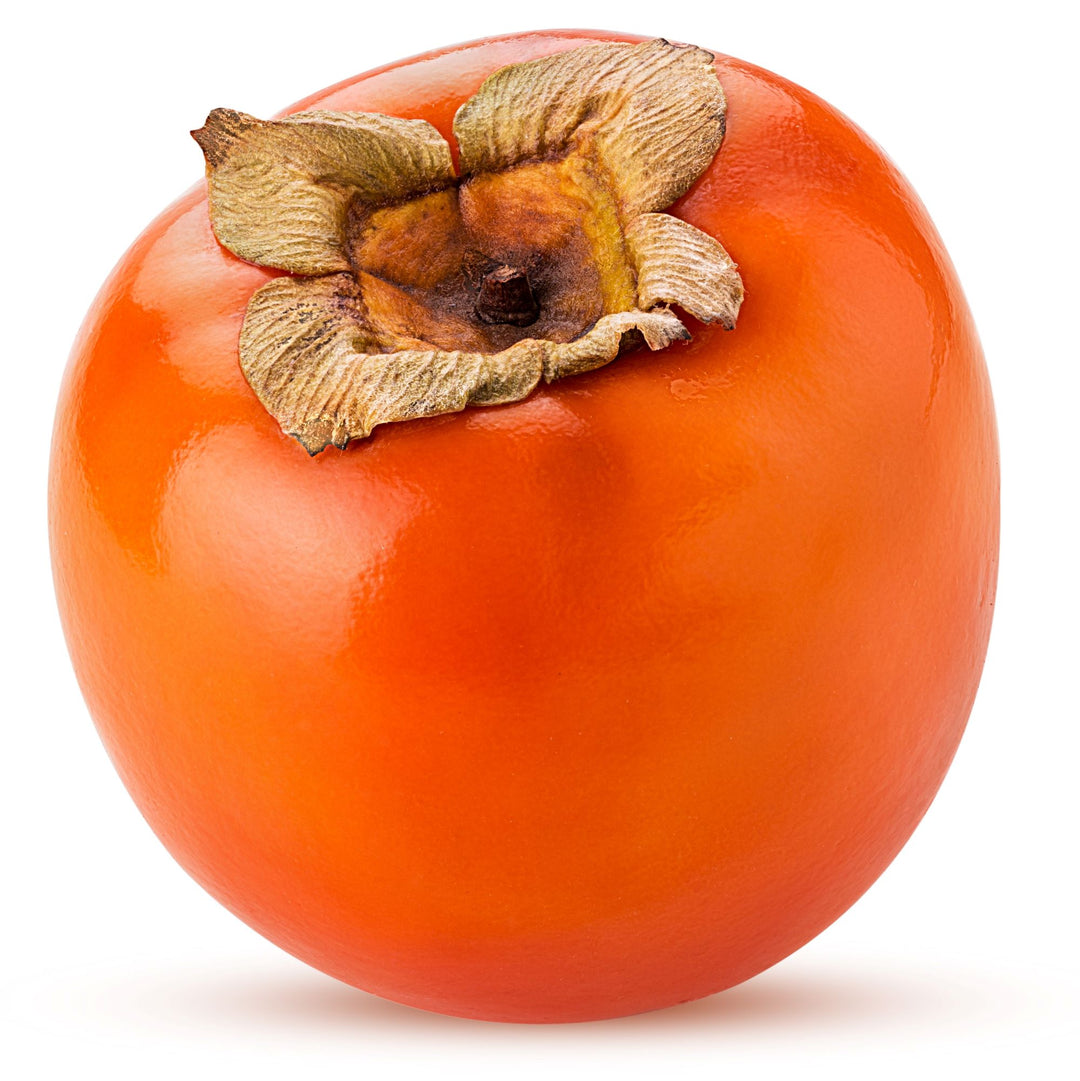 Persimmon " Nightingale " Exotic 5 Fruit Seeds