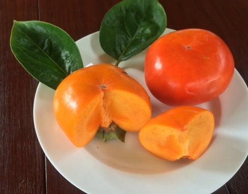 Persimmon " Ichikikijiro " Exotic 5 Fruit Seeds