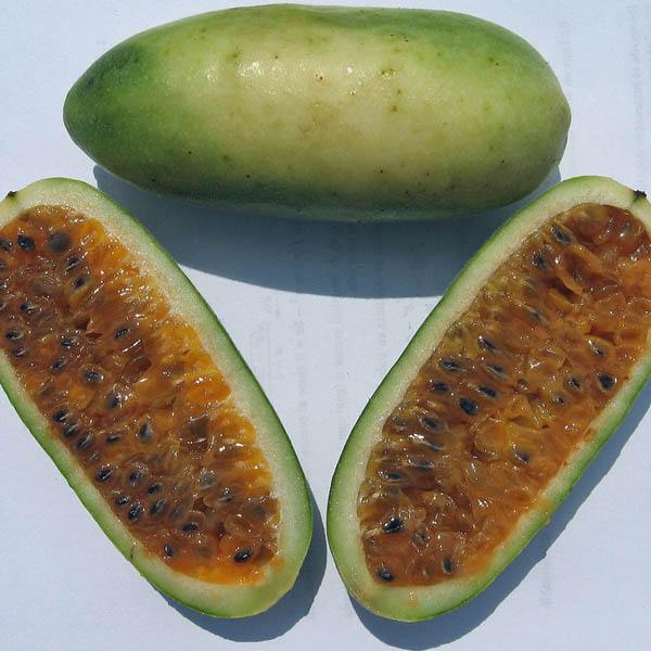 Passionfruit " Banana " Exotic 20 Fruit Seeds