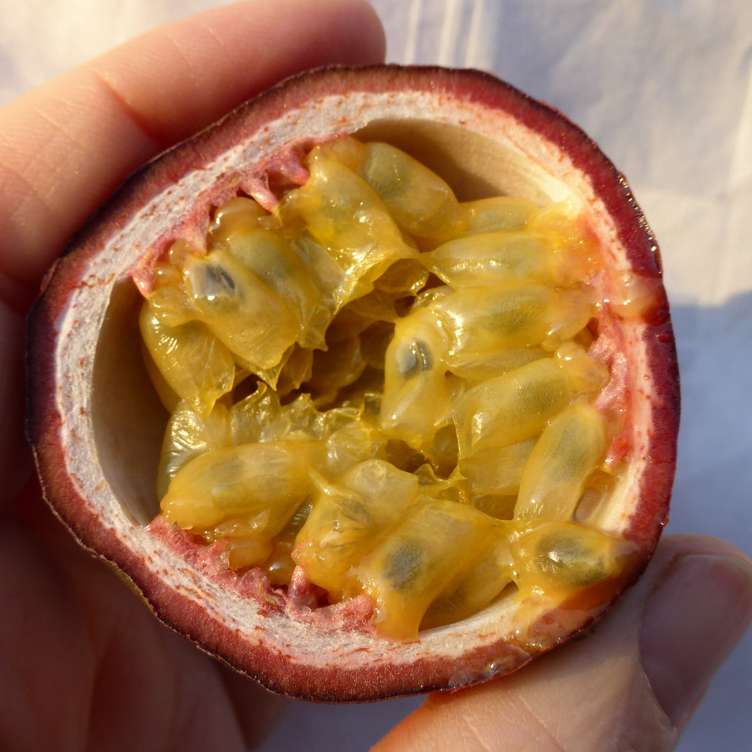 Passionfruit " Sweetheart " Exotic 20 Fruit Seeds