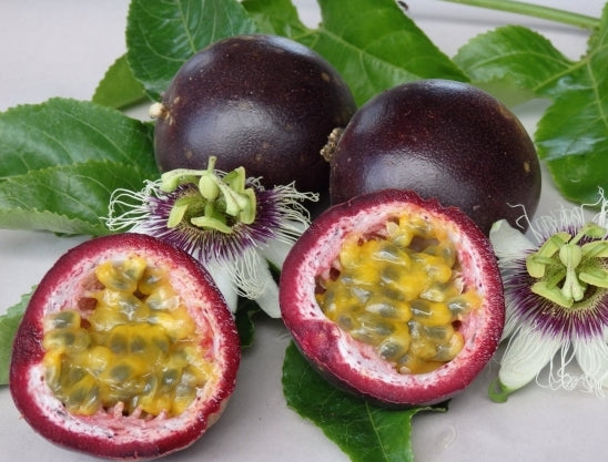 Passionfruit " Black " Exotic 20 Fruit Seeds