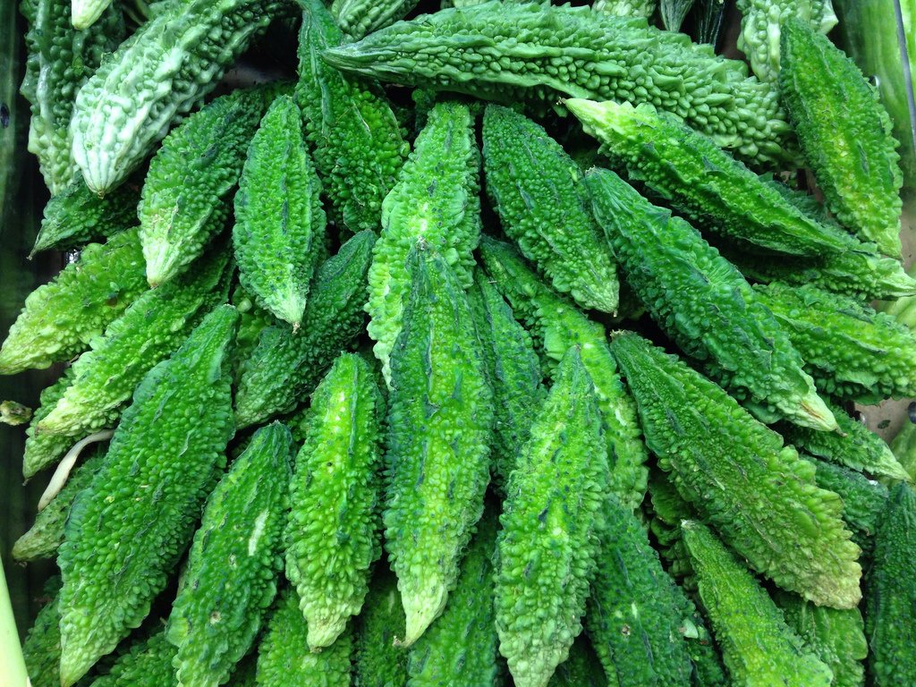 Bittergourd " Santur " Exotic 10 Vegetable Seeds