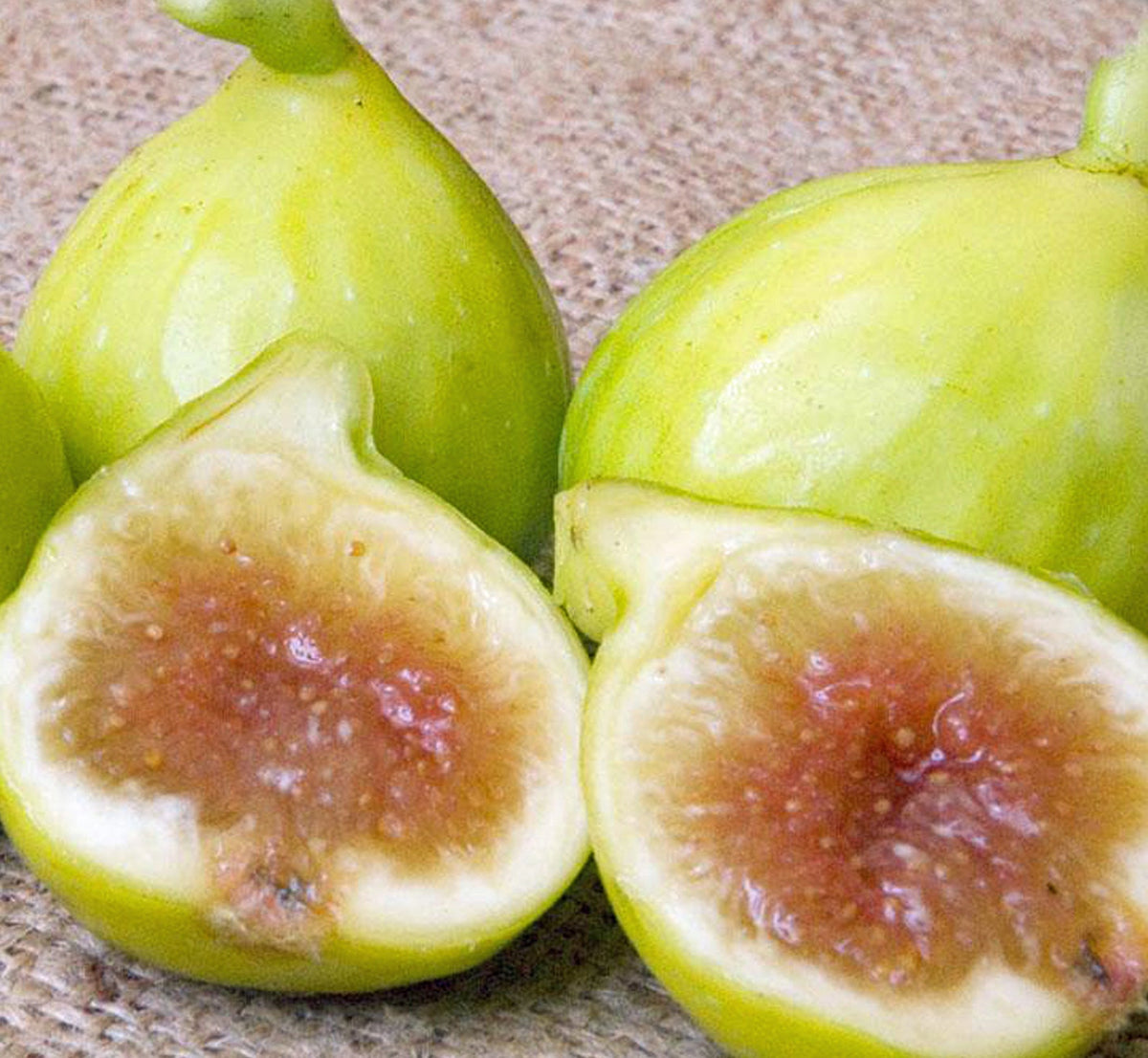 Fig " Kadota " Exotic 30 Fruit Seeds