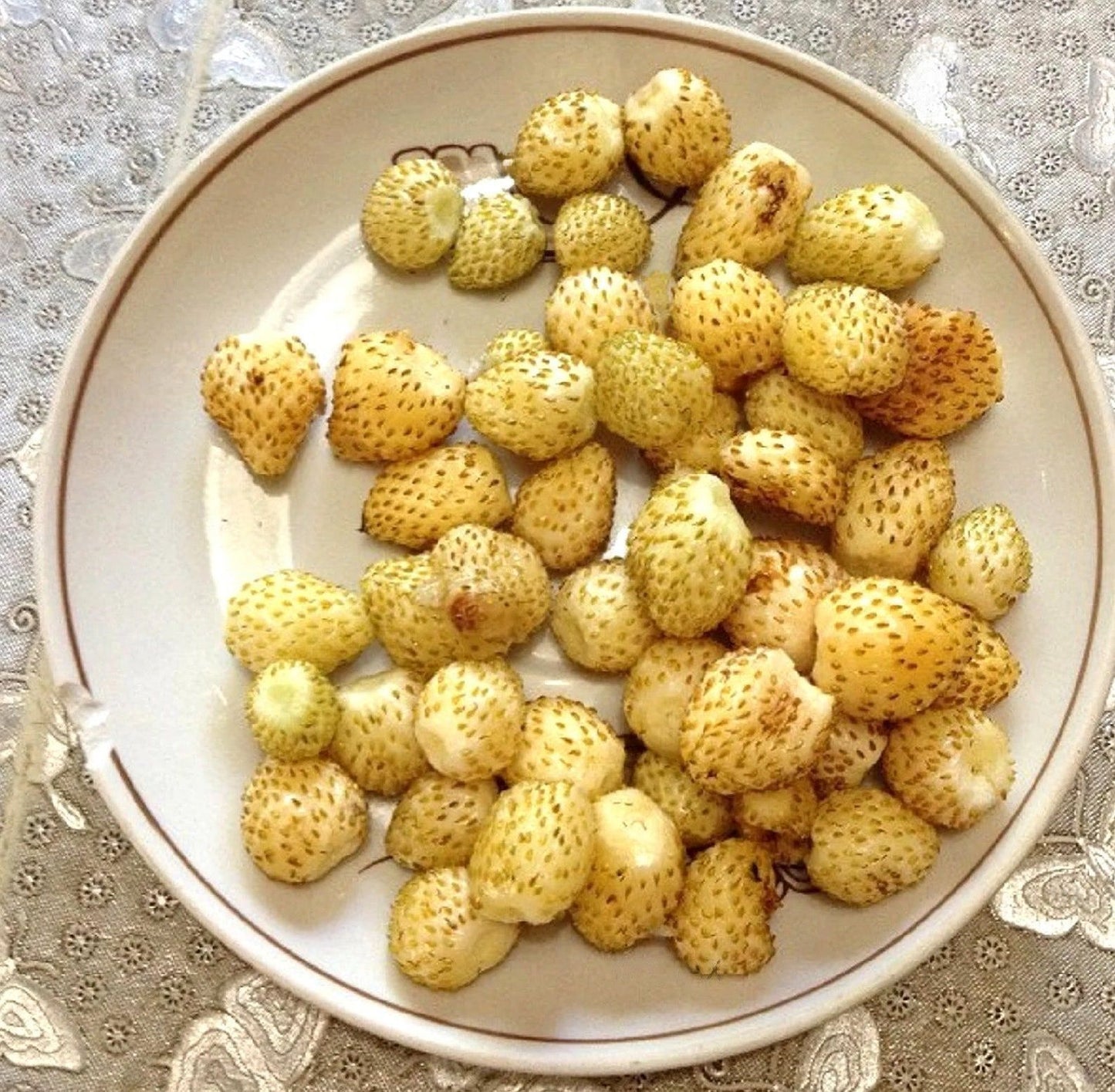 Strawberry " Golden Desert " Exotic 30 Fruit Seeds