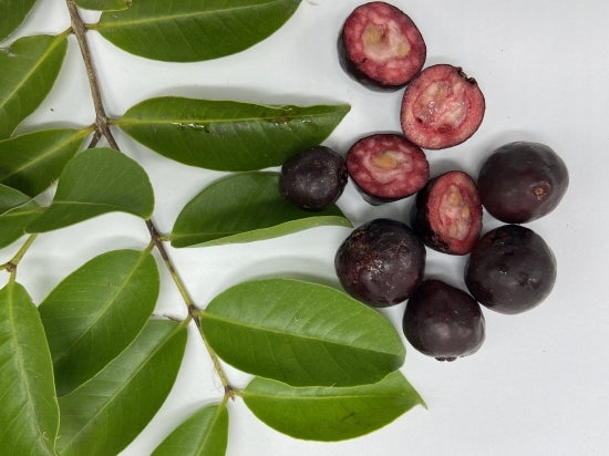 Guava " Purple Guava " Exotic 40 Fruit Seeds