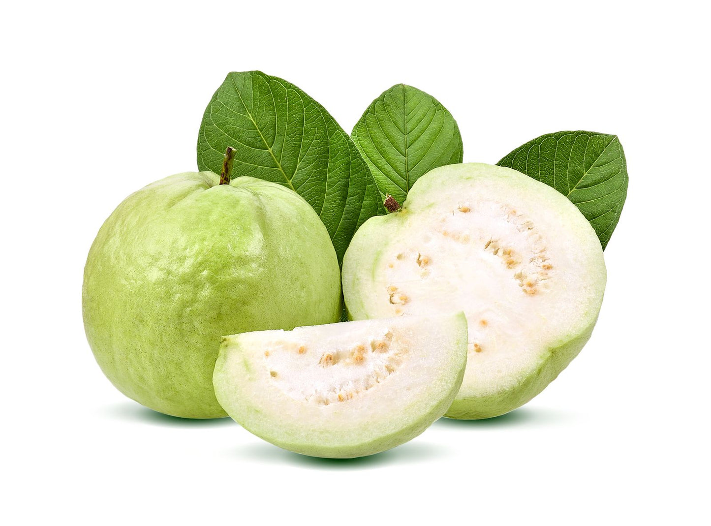 Guava " Taiwan White " Exotic 40 Fruit Seeds