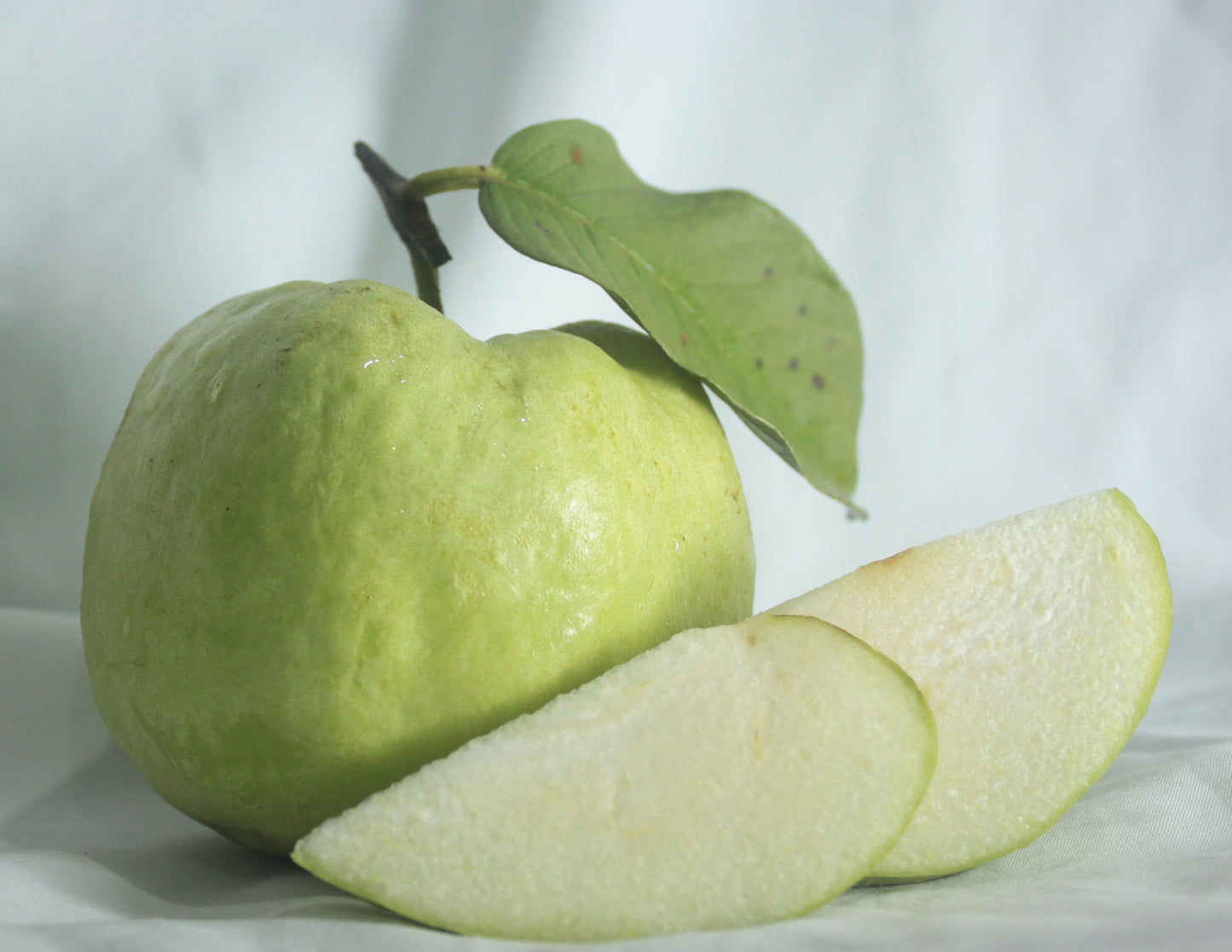 Guava " Allahabad " Exotic 40 Fruit Seeds