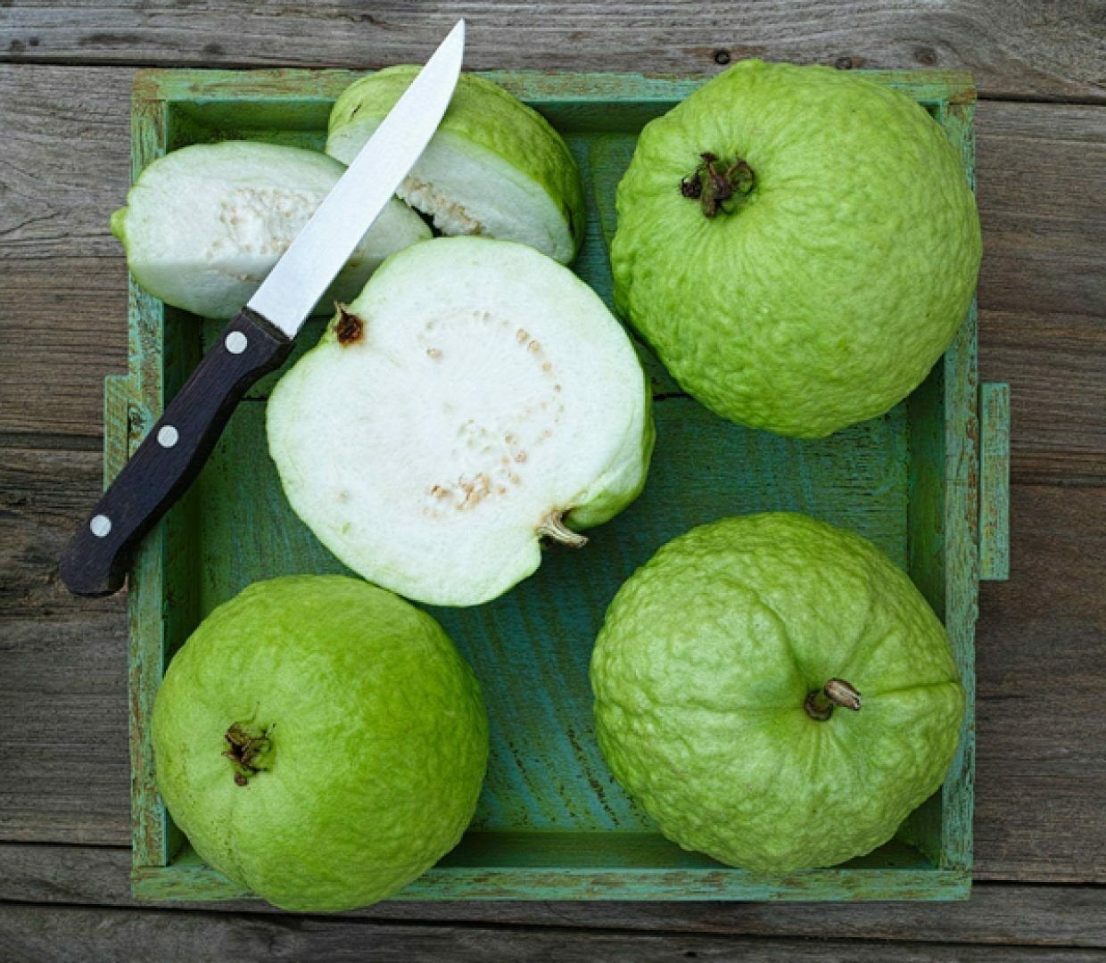Guava " Thai 5 " Exotic 40 Fruit Seeds