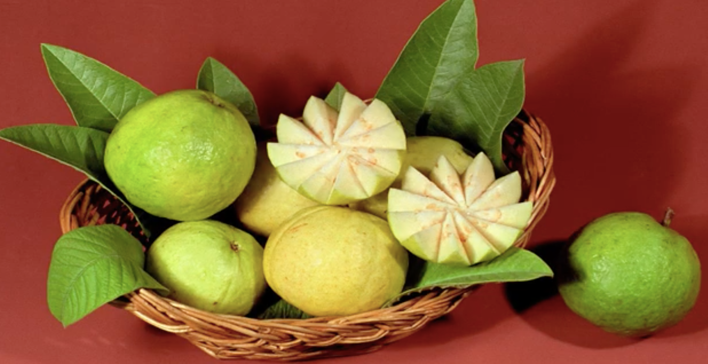 Guava " Arka Mridula " Exotic 40 Fruit Seeds