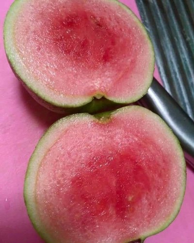 Guava " Red Diamond " Exotic 40 Fruit Seeds