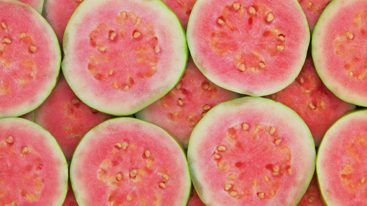 Guava " Taiwan Pink " Exotic 40 Fruit Seeds