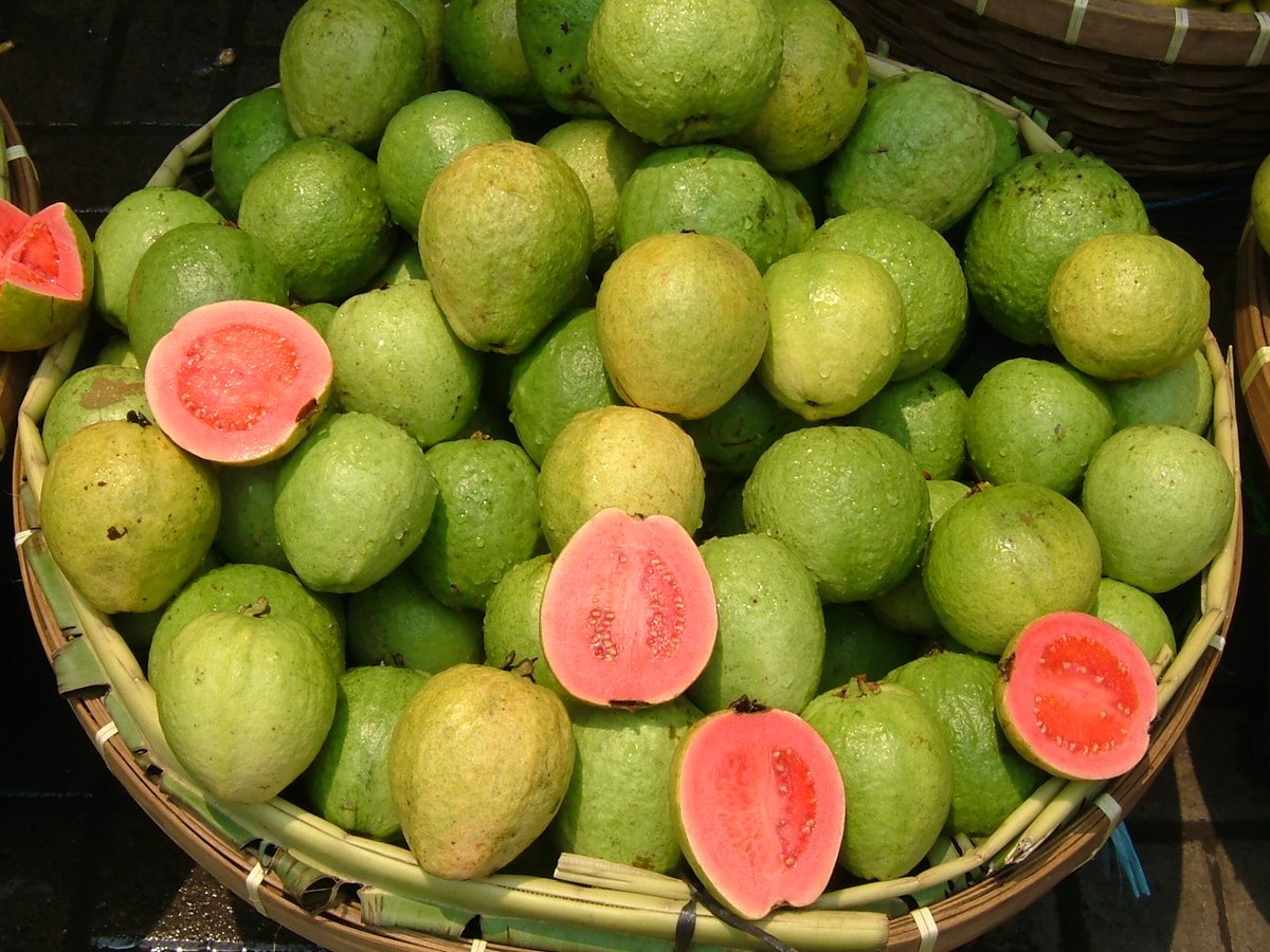 Guava " Lalit " Exotic 40 Fruit Seeds