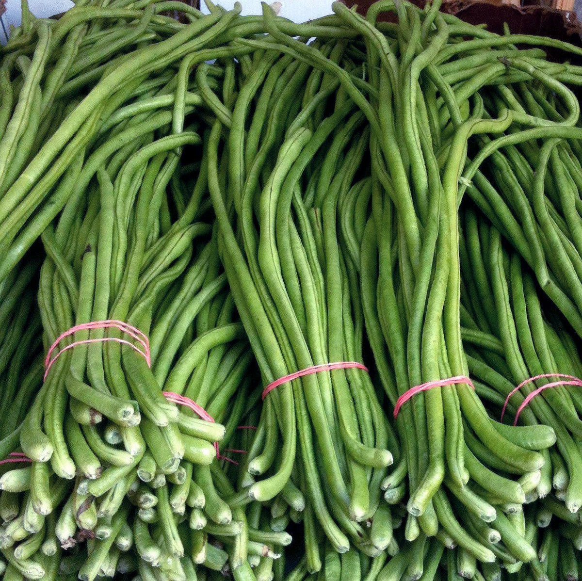 Cowpea " Arka Garima " Exotic 20 Vegetable Seeds