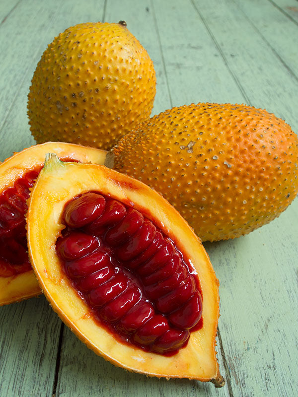 Golden Gac Fruit - Fruit from Heaven - 5 Fruit Seeds