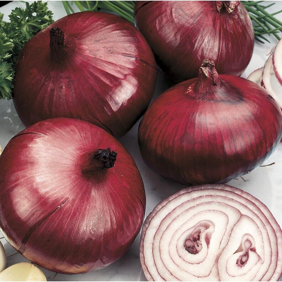 Onion " Red Giant " Exotic 100 Vegetable Seeds