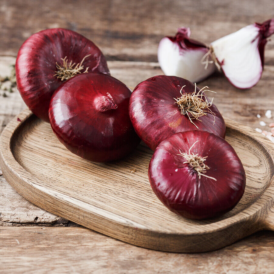 Onion " Red Flat " Exotic 100 Vegetable Seeds
