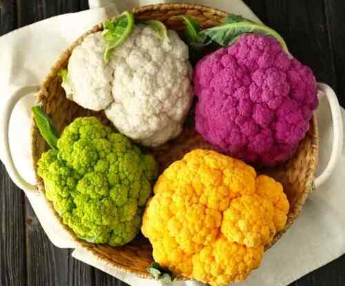 Cauli Flower " Mixed " Exotic 20 Vegetable Seeds