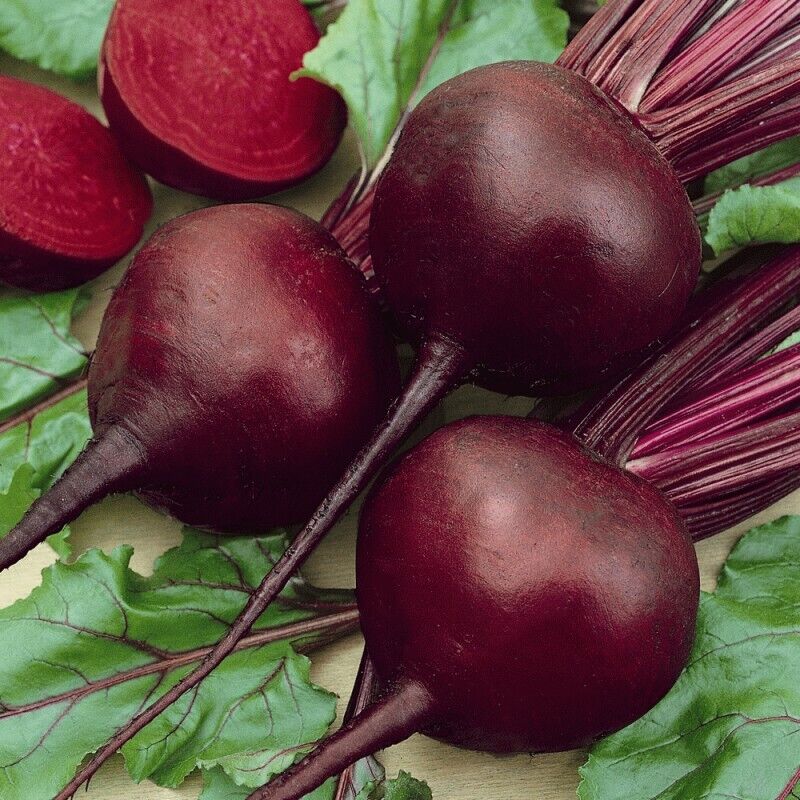 Beet Root " Red Giant " Exotic 20 Vegetable Seeds