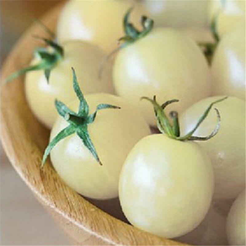 Tomato " Snow White " Exotic 100 Vegetable Seeds