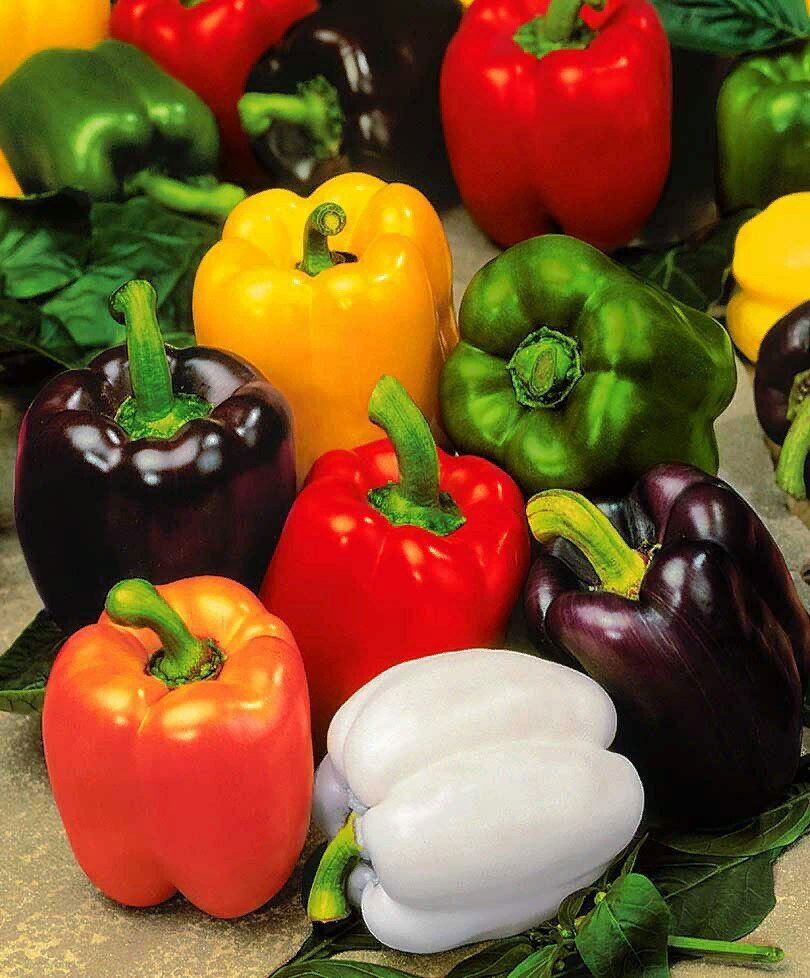 Bell Pepper " Mixed " Exotic 20 Vegetable Seeds