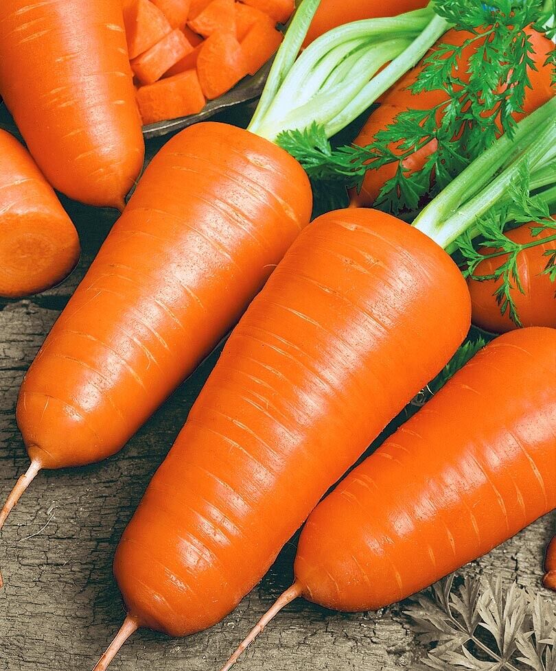 Carrot " Royal Red " Exotic 40 Vegetable Seeds