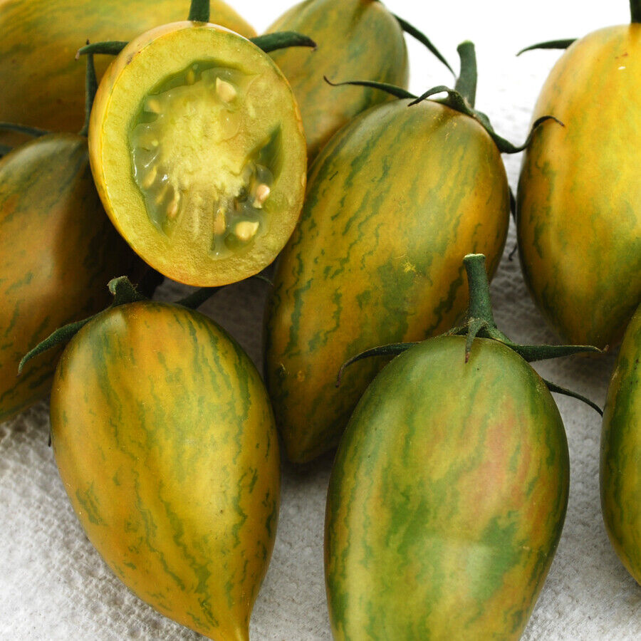 Tomato " Green Tiger " Exotic 100 Vegetable Seeds