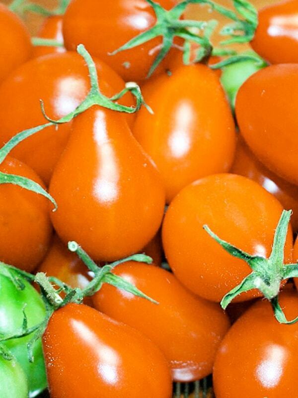 Tomato " Orange Pear " Exotic 100 Vegetable Seeds