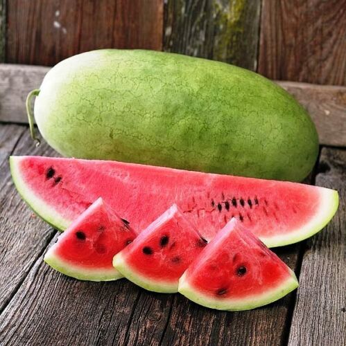 Watermelon " Charleston Grey " Exotic 10 Fruit Seeds