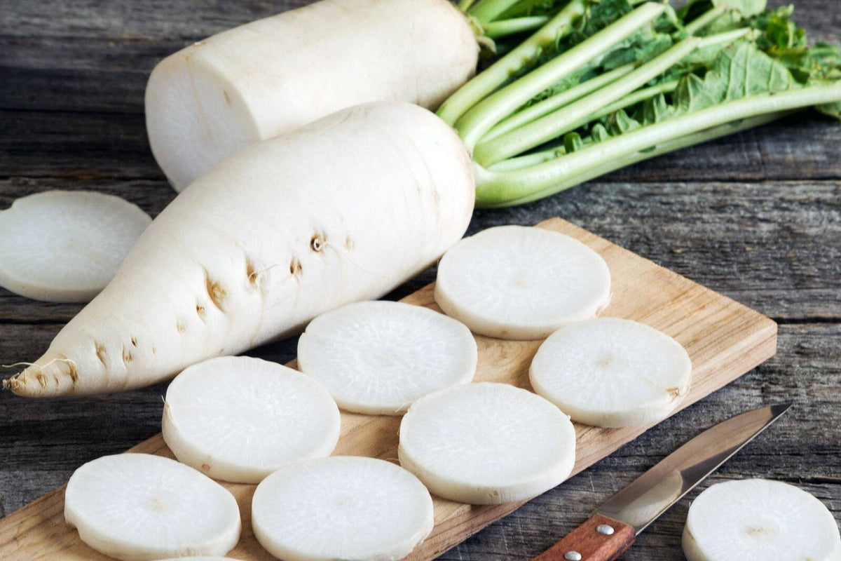 Radish " White Long " Exotic 20 Vegetable Seeds