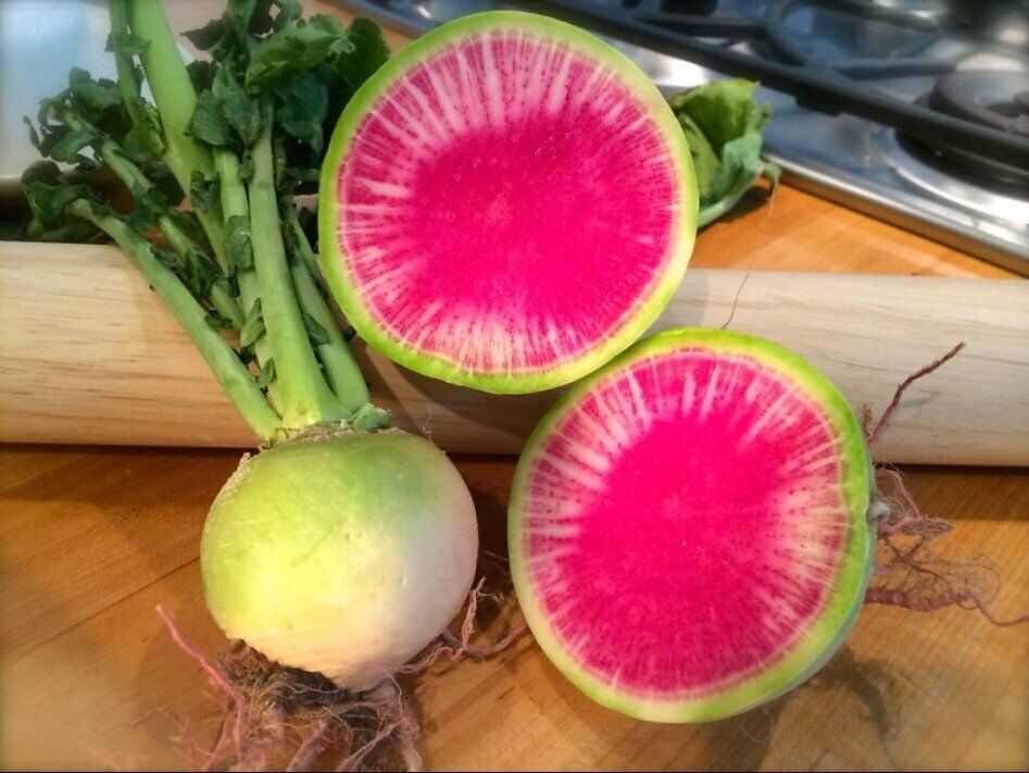 Radish " Red Heart " Exotic 20 Vegetable Seeds