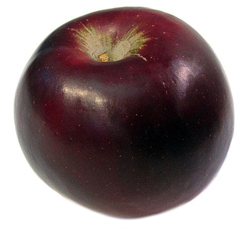 Apple " Arkansas Black " Exotic 10 Fruit Seeds