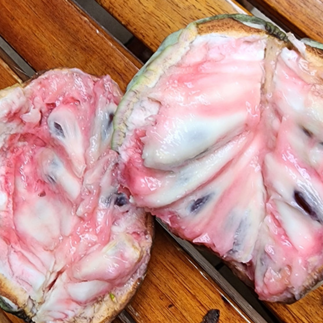 Hybrid Ilama Fruit Seeds - Marshmellow - 5 Seeds